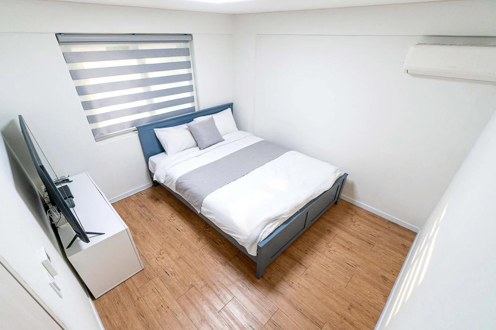Small deposit and all furnished house in Seoul