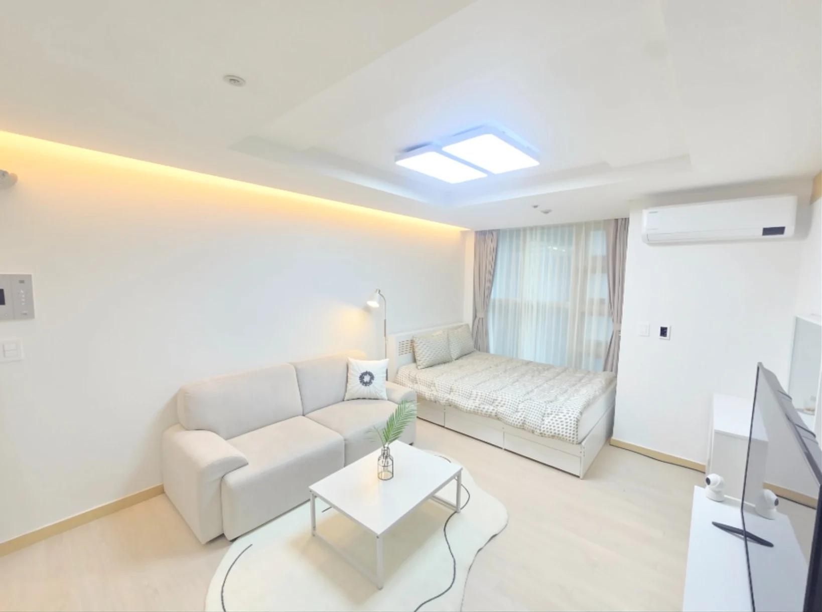 Small deposit and all furnished house in Seoul 1