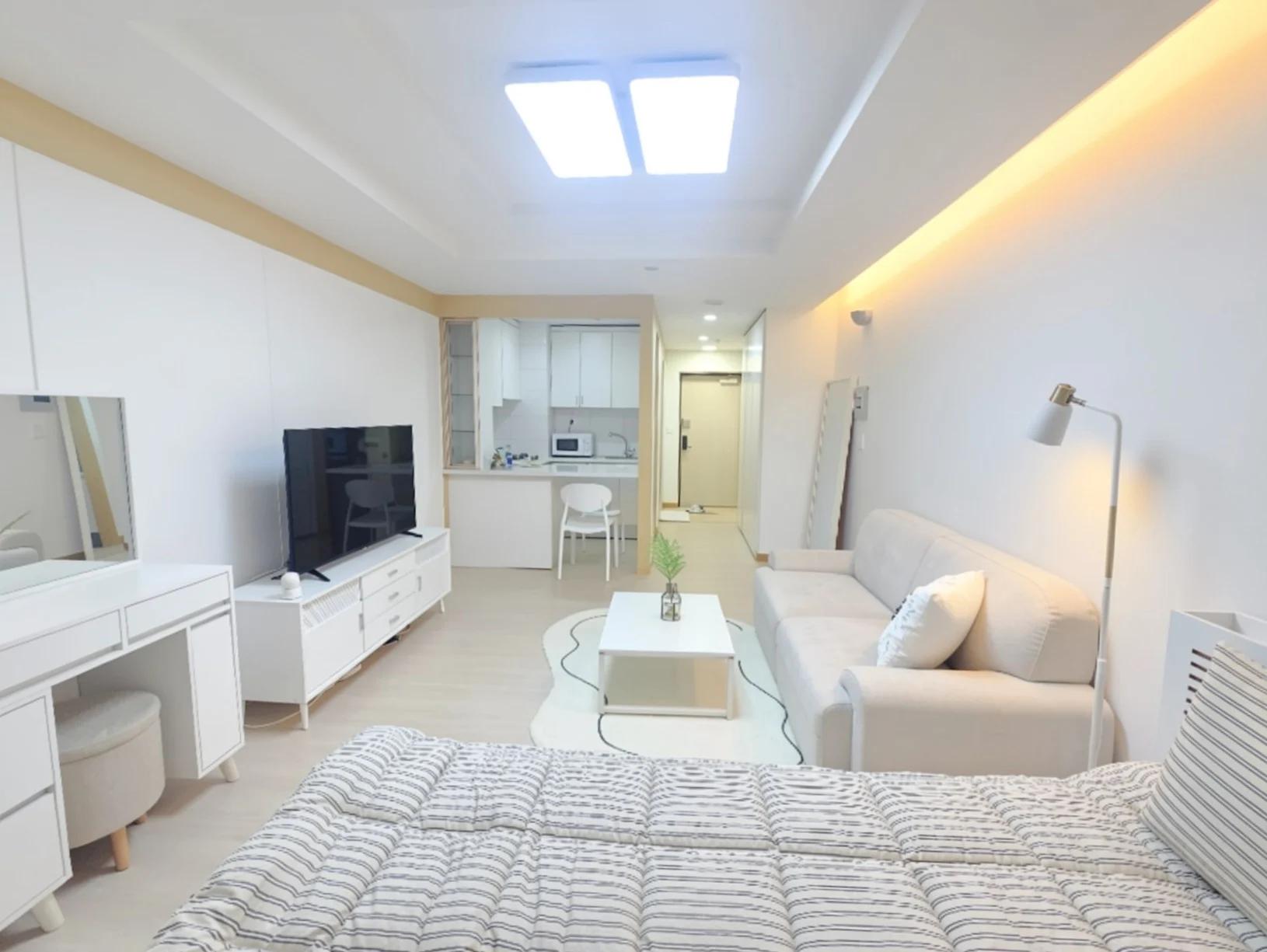 Small deposit and all furnished house in Seoul 2