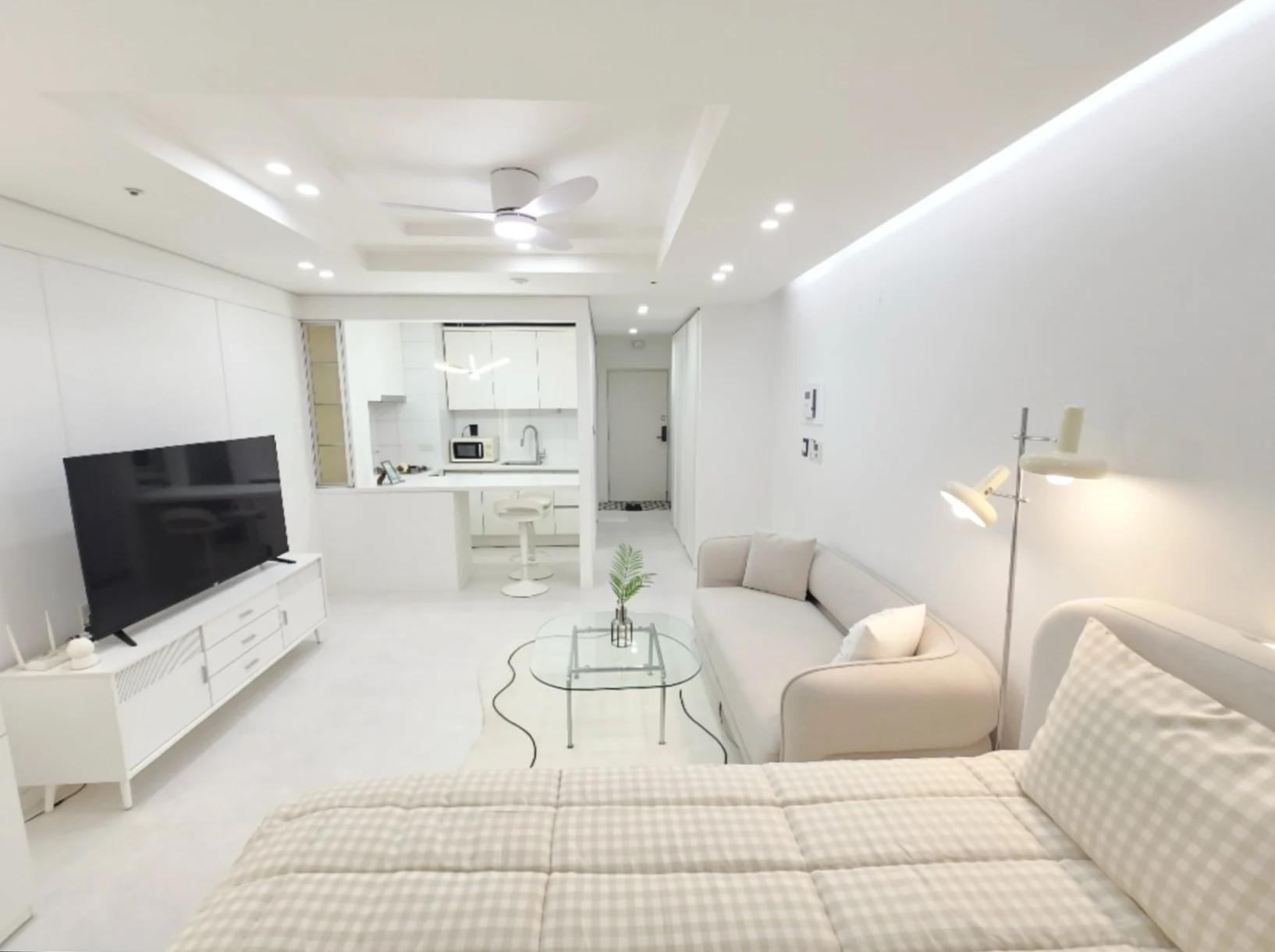 Small deposit and all furnished house in Seoul 2
