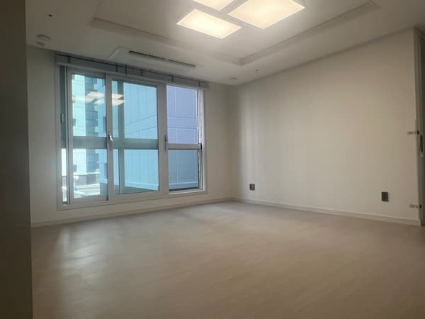 3BR, 2BA, Brand New, 3F, Business Contract. photo 5