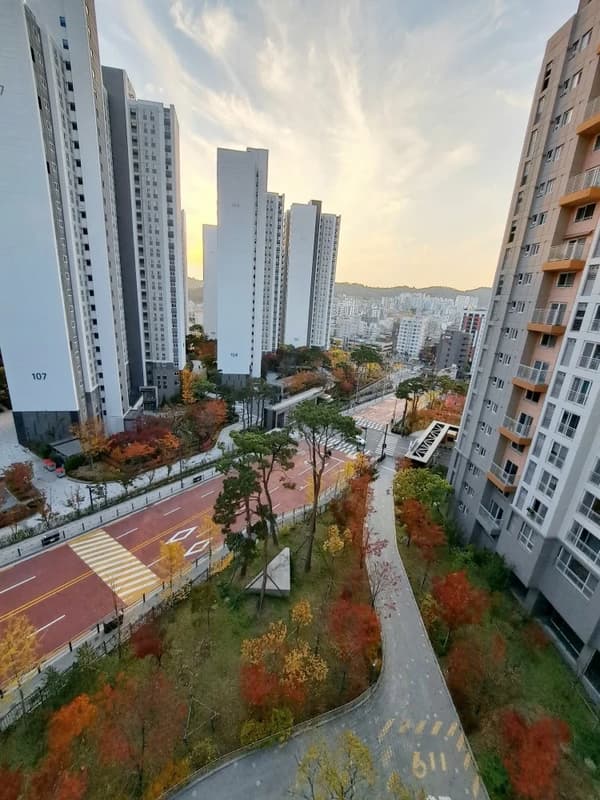 A Family-Oriented Apartment 사진 5