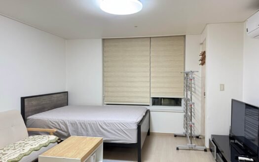 Fully Furnished For Sale Near Gangnam Station.