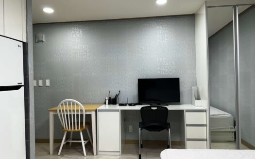 Fully Furnished, From Feb 2026, Near to Ewha, Sogang And Yonsei.