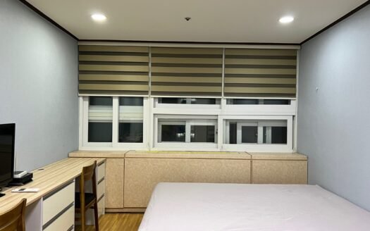From This Winter, Fully Furnished, Pet Friendly, Near to Ewha, Sogang And Yonsei.
