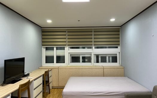 From This Winter, Fully Furnished, Pet Friendly, Near to Ewha, Sogang And Yonsei.