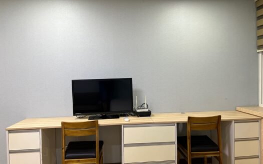 From This Winter, Fully Furnished, Pet Friendly, Near to Ewha, Sogang And Yonsei.