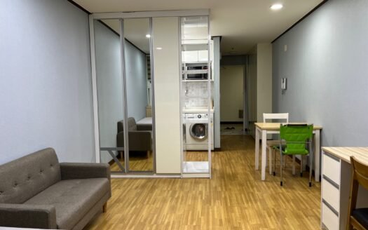 From This Winter, Fully Furnished, Pet Friendly, Near to Ewha, Sogang And Yonsei.