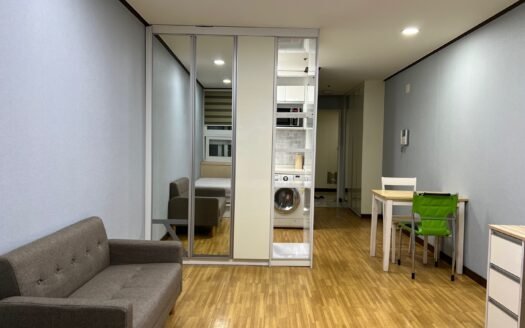 From This Winter, Fully Furnished, Pet Friendly, Near to Ewha, Sogang And Yonsei.