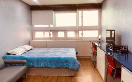 Fully Furnished, Pet Friendly, Near to Ewha, Sogang And Yonsei.