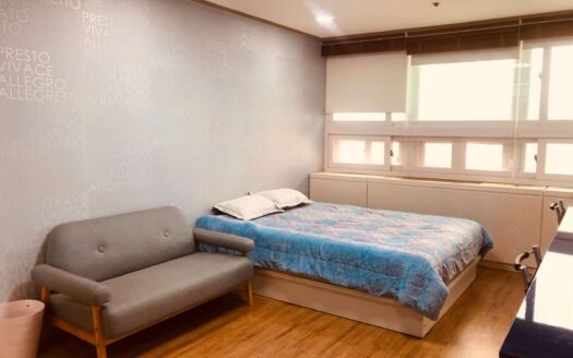 Fully Furnished, Pet Friendly, Near to Ewha, Sogang And Yonsei.