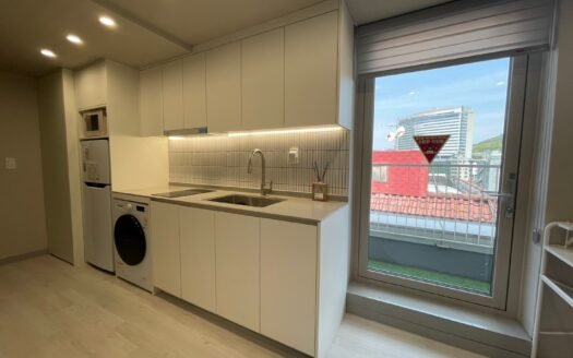 1.5BD, Fully Furnished, Near Ewha, Yonsei, Sinchon, with Terrace.