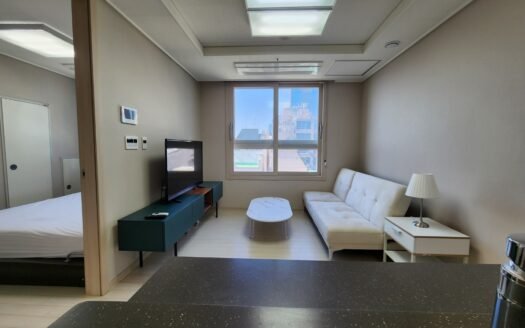 1.5BD, Fully Furnished, Low Deposit, ARC, Near Yeoksam.