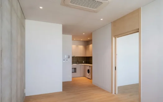 Alpha Type, Brand New, Near Sinchon, Yonsei, Sogang. 20M won Deposit.