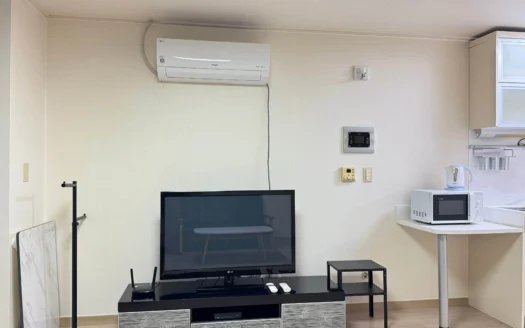 Seoul, Gangnam, Sale, Fully Furnished. 서울, 강남역, 역삼동 오피스텔 매매, 풀옵션, 즉시입주