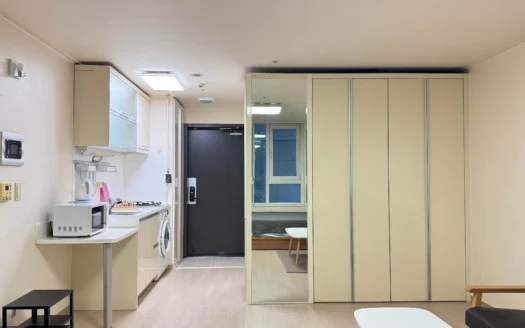 Seoul, Gangnam, Sale, Fully Furnished. 서울, 강남역, 역삼동 오피스텔 매매, 풀옵션, 즉시입주