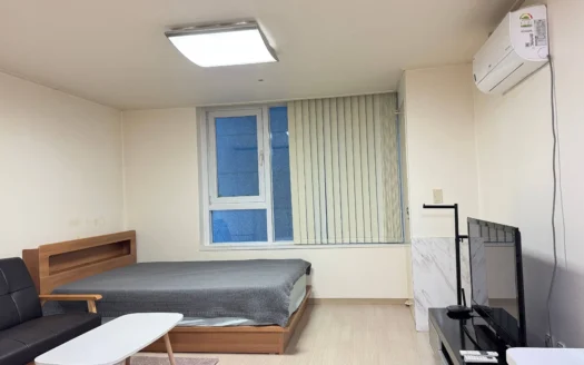 Seoul, Gangnam, Sale, Fully Furnished. 서울, 강남역, 역삼동 오피스텔 매매, 풀옵션, 즉시입주
