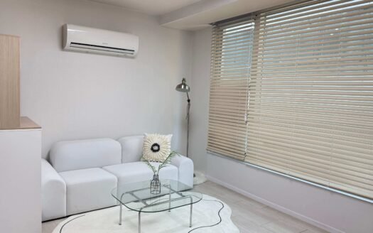 Gangnam, 1.5BR, Fully Furnished, Low Deposit, Short-term Available. 강남, 분리형 원룸, 풀옵션, 단기