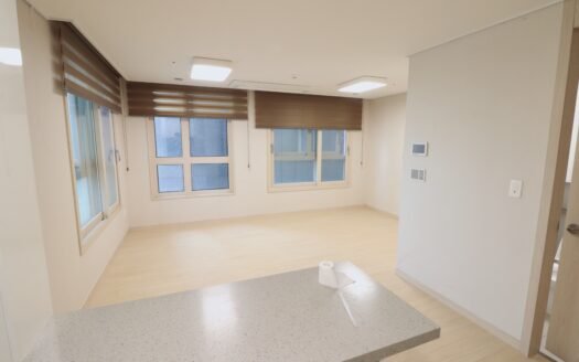 Move-in ready. Prime double subway access at Gyodae Station. New building. Parking available. Affordable price
