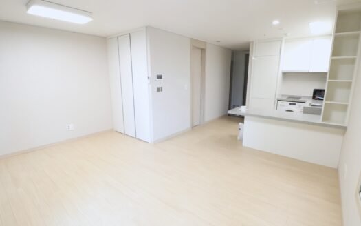 Move-in ready. Prime double subway access at Gyodae Station. New building. Parking available. Affordable price