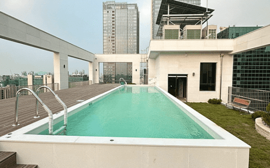 High-End Luxury Apartment with a Rooftop Swimming Pool in the Heart of Gangnam