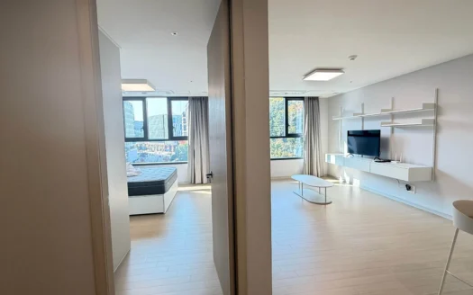 Pangyo, 1.5BR, Community, Terrace(public), Rent Free(3months).