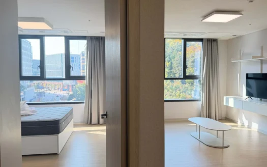 Pangyo, 1.5BR, Community, Terrace(public), Rent Free(3months).